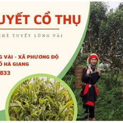 Trà shan tuyết Lùng Vài 